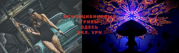 бошки Михайлов