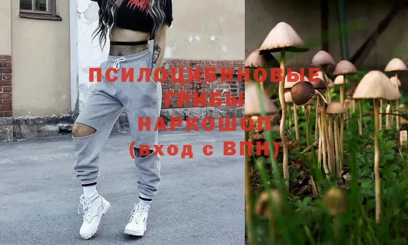 Галлюциногенные грибы MAGIC MUSHROOMS  мега вход  сайты даркнета телеграм  Осташков 