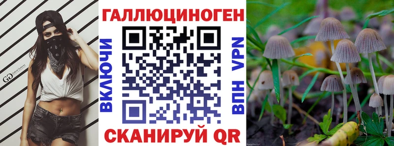 Псилоцибиновые грибы Psilocybe  купить закладку  Осташков 